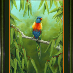 animals-birds-rainbow-lorikeet-pretty-boy-pastel-drawing-peter-jantke-art-1000