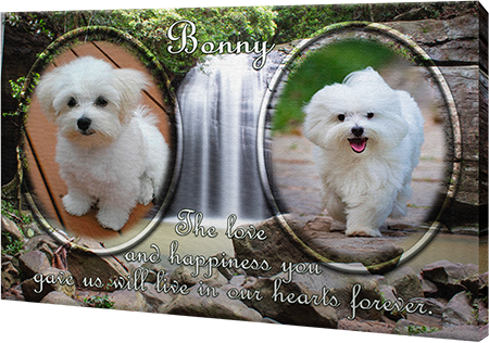 services-custom-canvas-image-dog-double1-450
