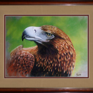 animals-birds-wedge-tail-eagle-pastel-drawing-peter-jantke-art-900