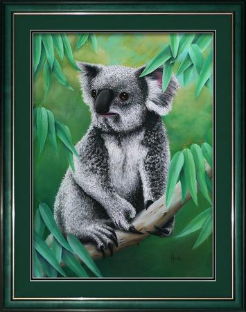 animals-birds-southern-koala-pastel-drawing-peter-jantke-art-900