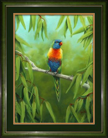 animals-birds-rainbow-lorikeet-pretty-boy-pastel-drawing-peter-jantke-art-1000