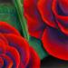 roses-sample-red-flower-rose-triple-pastel-painting-peter-jantke-art-studio
