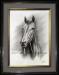 thoroughbred-portrait-main-race-horse-pure-bred-equine-pencil-illustration-peter-jantke-art-studio
