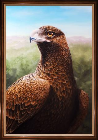 animals-birds-wedge-tail-eagle-oil-painting-peter-jantke-art-1000