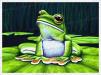 PRC004-print-jas-green-tree-frog-australian-native-sitting-jantke-art-studio-print