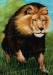 PRC014-main-jas-animal-lion-charge-king-of-the-jungle-jantke-art-print
