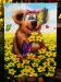 PRC019-front-jas-kids-art-bear-n-butterflies-teddy-in-flowers-jantke-art-print
