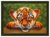 PRC020-print-jas-kids-art-tiger-cub-jantke-art-print
