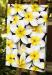 PRC023WT-side-jas-flowers-frangipani-plumeria-madness-white-jantke-art-print