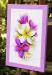 PRC024PK-side-jas-flower-frangipani-plumeria-bouquet-pink-jantke-art-print