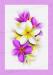 PRC024PK-main-jas-flower-frangipani-plumeria-bouquet-pink-jantke-art-print