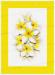 PRC024WT-print-jas-flower-frangipani-plumeria-bouquet-white-jantke-art-print