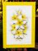 PRC024WT-front-jas-flower-frangipani-plumeria-bouquet-white-jantke-art-print
