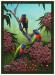 PRC032-print-jas-rainbow-lorikeets-australian-native-birds-peter-jantke-art-print