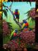 PRC032-front-jas-rainbow-lorikeets-australian-native-birds-peter-jantke-art-print