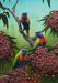 PRC032-main-jas-rainbow-lorikeets-australian-native-birds-peter-jantke-art-print