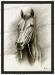 PRC034-print-jas-thoroughbred-portrait-horse-jantke-art-print