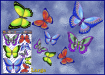 ST025MC-3-open-jas-butterflies-design1-graphic-pack-coloured-JAS-Stickers