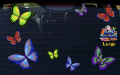 ST025MC-3-car-jas-butterflies-design1-graphic-pack-coloured-JAS-Stickers