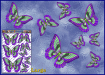 ST025GR-3-open-jas-butterflies-design1-graphic-pack-green-JAS-Stickers