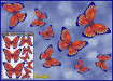 ST025OR-3-open-jas-butterflies-design1-graphic-pack-orange-JAS-Stickers