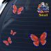 ST025OR-1-car-jas-butterflies-design1-graphic-pack-orange-JAS-Stickers