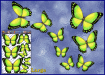 ST025YW-3-open-jas-butterflies-design1-graphic-pack-yellow-JAS-Stickers