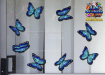 ST028BL-3-glass-jas-wanderer-butterfly-pack-blue-JAS-Stickers