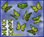 ST028GR-3-open-jas-wanderer-butterfly-pack-green-JAS-Stickers