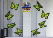 ST028GR-3-glass-jas-wanderer-butterfly-pack-green-JAS-Stickers