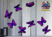 ST028PK-3-glass-jas-wanderer-butterfly-pack-pink-JAS-Stickers