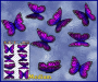 ST028PK-3-open-jas-wanderer-butterfly-pack-pink-JAS-Stickers