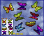 ST028MC-3-open-jas-wanderer-butterfly-pack-colour-JAS-Stickers