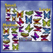 ST028MC-134-packaged-jas-wanderer-butterfly-pack-colour-JAS-Stickers
