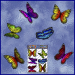 ST028MC-1-open-jas-wanderer-butterfly-pack-colour-JAS-Stickers