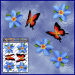 ST041BL-1-open-jas-flowers-frangipani-plumeria-butterflies-blue-JAS-Stickers
