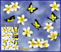 ST00041WT-3-open-jas-flowers-frangipani-plumeria-butterflies-white-JAS-Stickers