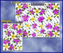 ST00045PK-34-packaged-jas-flowers-frangipani-plumeria-corners-pink-JAS-Stickers