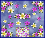 ST045PK-4-open-jas-flowers-frangipani-plumeria-floral-corners-pink-white-JAS-Stickers