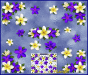 ST045PL-4-open-jas-flowers-frangipani-plumeria-floral-corners-purple-white-JAS-Stickers