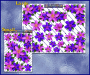 ST00045PP-34-packaged-jas-flowers-frangipani-plumeria-corners-pink-purple-JAS-Stickers