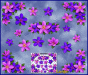 ST045PP-4-open-jas-flowers-frangipani-plumeria-floral-corners-pink-purple-JAS-Stickers