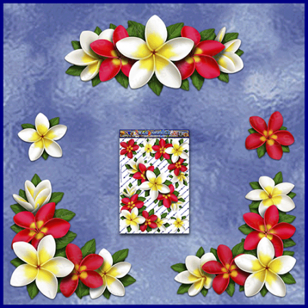 ST045RD-3-open-jas-flowers-frangipani-plumeria-floral-corners-red-white-JAS-Stickers