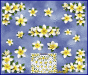 ST045WT-4-open-jas-flowers-frangipani-plumeria-floral-corners-white-JAS-Stickers