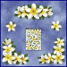 ST045WT-3-open-jas-flowers-frangipani-plumeria-floral-corners-white-JAS-Stickers