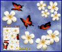 ST024WT-3-open-jas-frangipani-plumeria-flower-butterfly-pack-white-JAS-Stickers