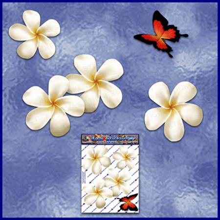 ST024WT-1-open-jas-frangipani-plumeria-flower-butterfly-pack-white-JAS-Stickers