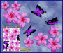 ST024PK-3-open-jas-frangipani-plumeria-flower-butterfly-pack-pink-JAS-Stickers