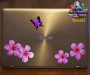 ST024PK-1-laptop-jas-frangipani-plumeria-flower-butterfly-pack-pink-JAS-Stickers