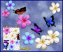 ST024MC-3-open-jas-frangipani-plumeria-flower-butterfly-pack-colour-JAS-Stickers